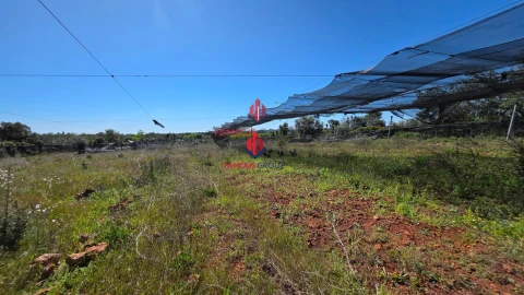 Terreno Agricola ou Rústico para Venda em São Bartolomeu de Messines