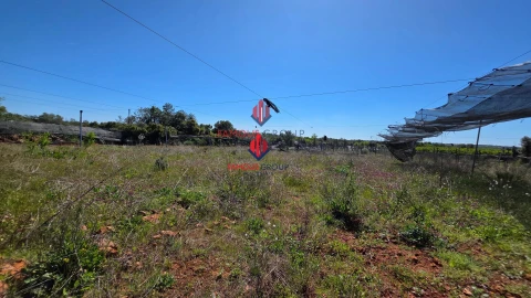 Terreno Agricola ou Rústico para Venda em São Bartolomeu de Messines
