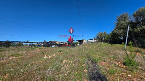 Terreno Agricola ou Rústico para Venda em São Bartolomeu de Messines