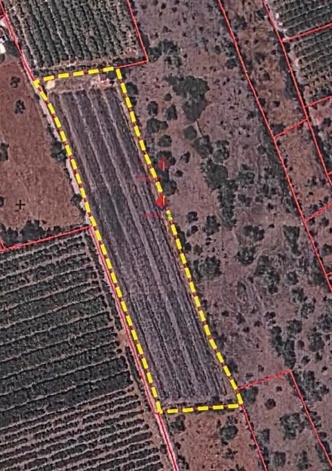 Terreno Agricola ou Rústico para Venda em São Bartolomeu de Messines