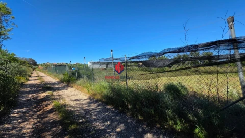 Terreno Agricola ou Rústico para Venda em São Bartolomeu de Messines