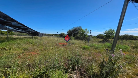 Terreno Agricola ou Rústico para Venda em São Bartolomeu de Messines