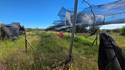 Terreno Agricola ou Rústico para Venda em São Bartolomeu de Messines