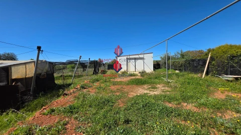 Terreno Agricola ou Rústico para Venda em São Bartolomeu de Messines