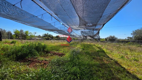 Terreno Agricola ou Rústico para Venda em São Bartolomeu de Messines