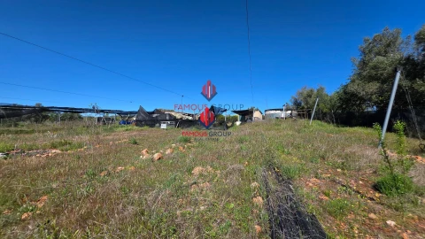 Terreno Agricola ou Rústico para Venda em São Bartolomeu de Messines