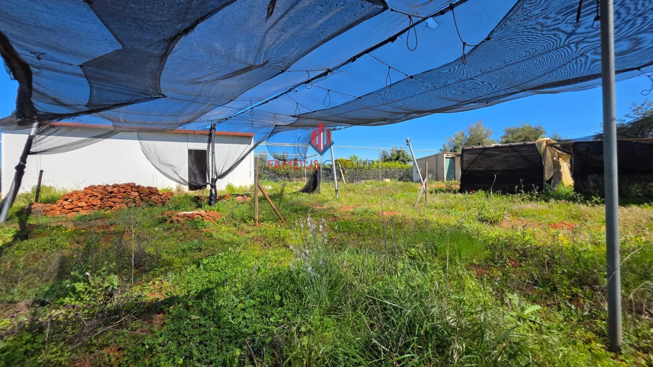 Terreno Agricola ou Rústico para Venda em São Bartolomeu de Messines Foto 2