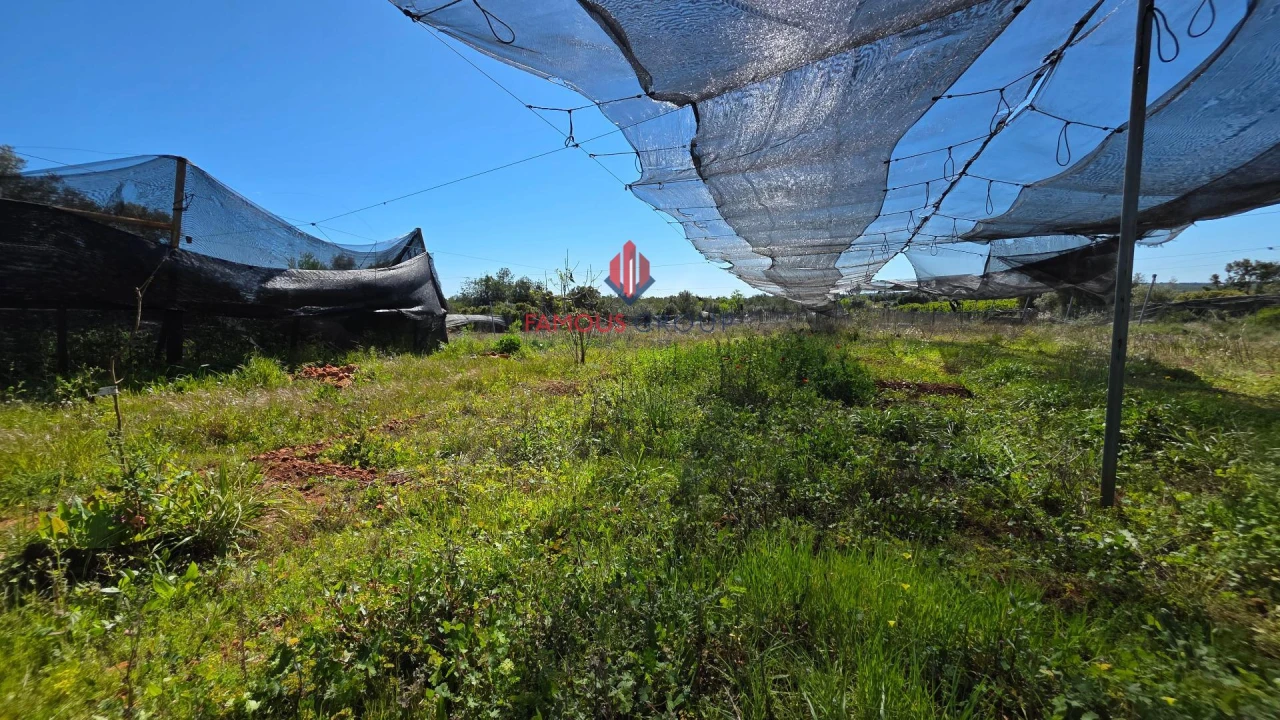 Terreno Agricola ou Rústico para Venda em São Bartolomeu de Messines Foto 25