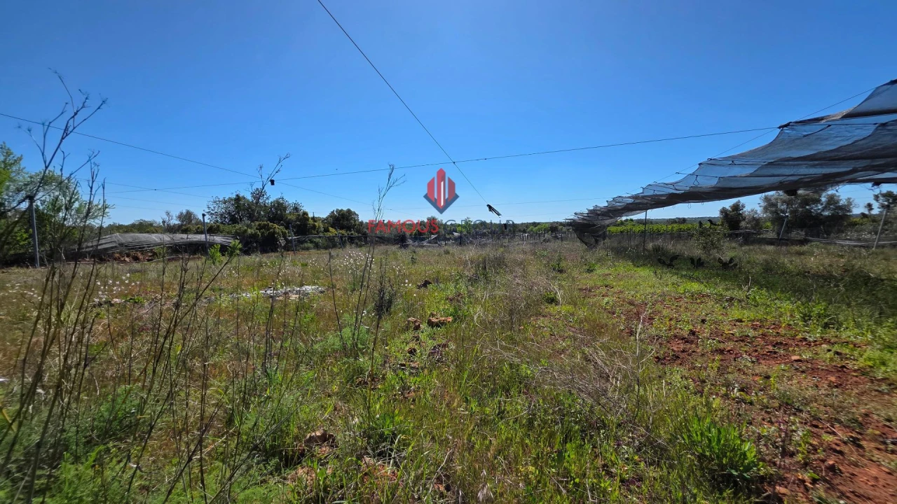 Terreno Agricola ou Rústico para Venda em São Bartolomeu de Messines Foto 26