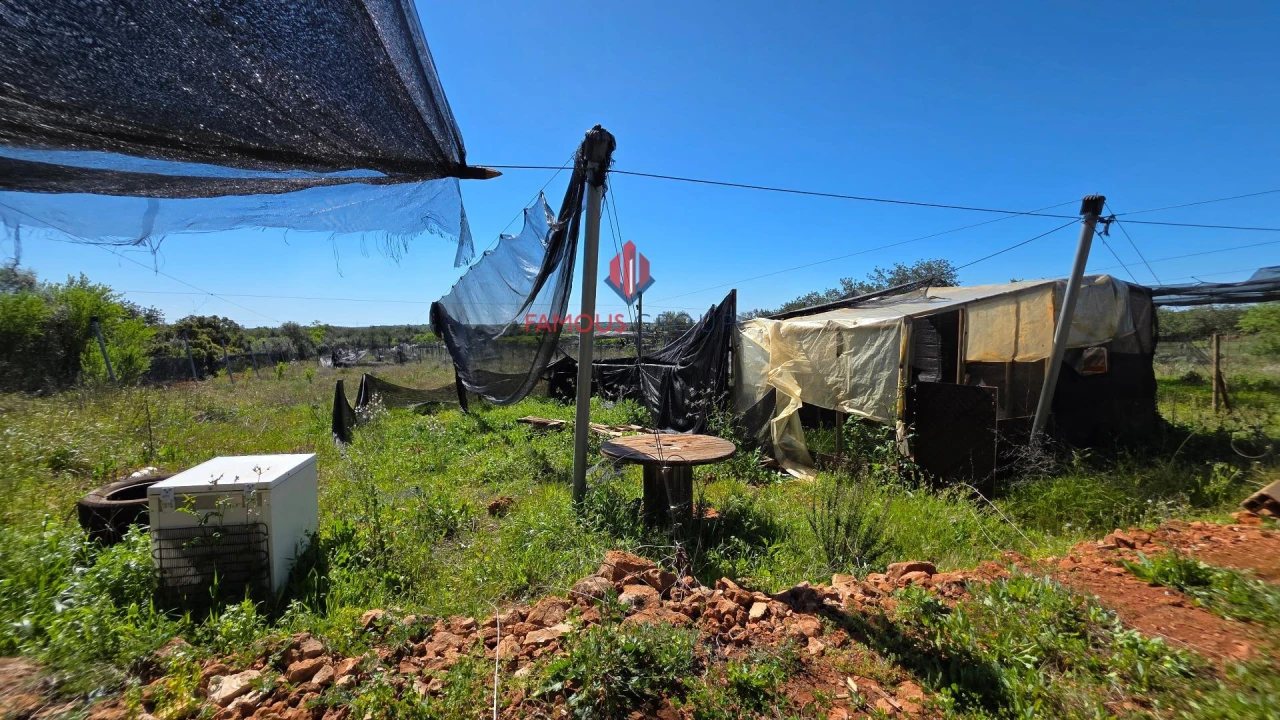 Terreno Agricola ou Rústico para Venda em São Bartolomeu de Messines Foto 40