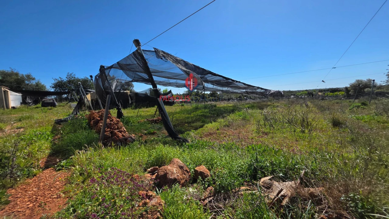 Terreno Agricola ou Rústico para Venda em São Bartolomeu de Messines Foto 42