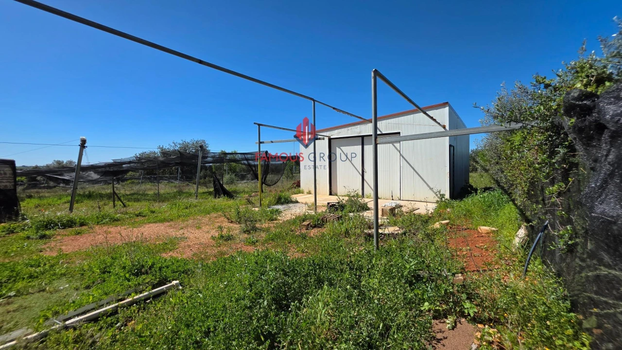 Terreno Agricola ou Rústico para Venda em São Bartolomeu de Messines Foto 9