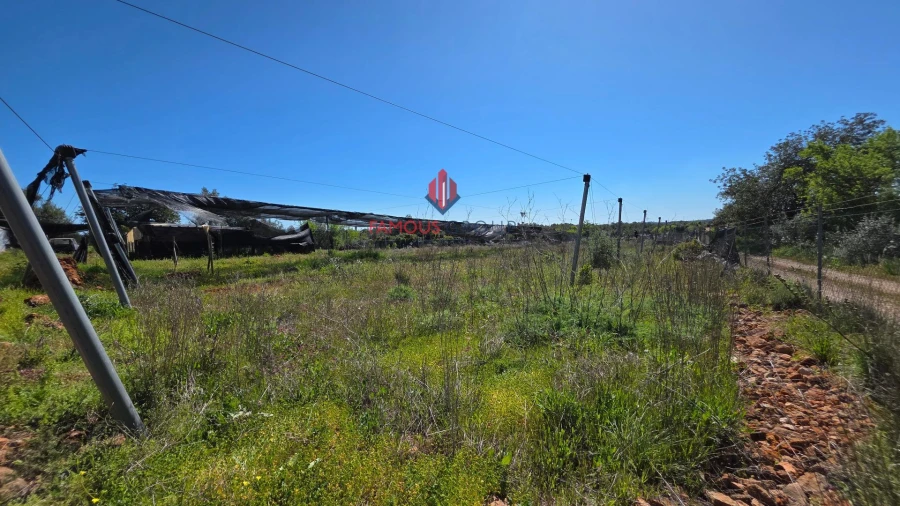 Terreno Agricola ou Rústico para Venda em São Bartolomeu de Messines Foto 22