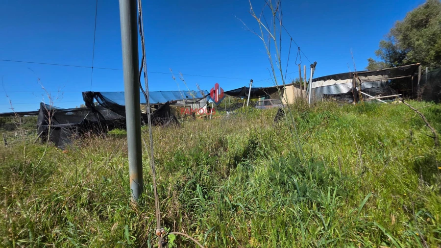 Terreno Agricola ou Rústico para Venda em São Bartolomeu de Messines Foto 36