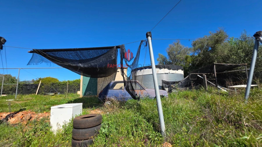 Terreno Agricola ou Rústico para Venda em São Bartolomeu de Messines Foto 38