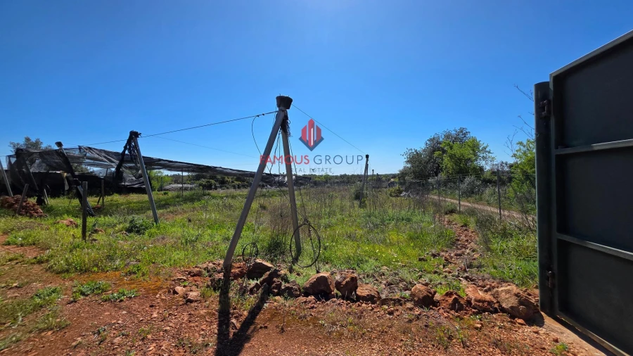 Terreno Agricola ou Rústico para Venda em São Bartolomeu de Messines Foto 4
