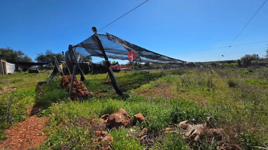 Terreno Agricola ou Rústico para Venda em São Bartolomeu de Messines Foto 42