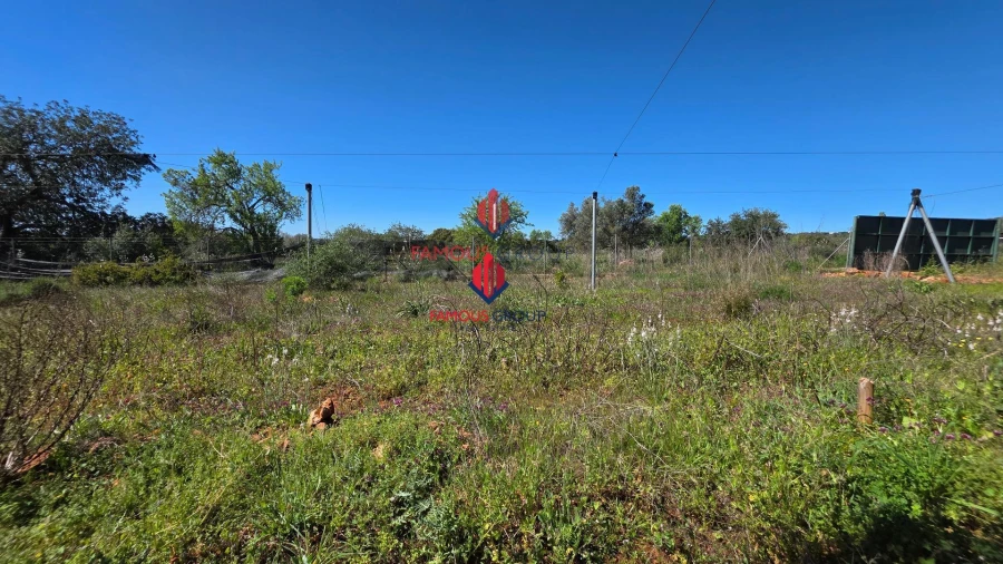 Terreno Agricola ou Rústico para Venda em São Bartolomeu de Messines Foto 13