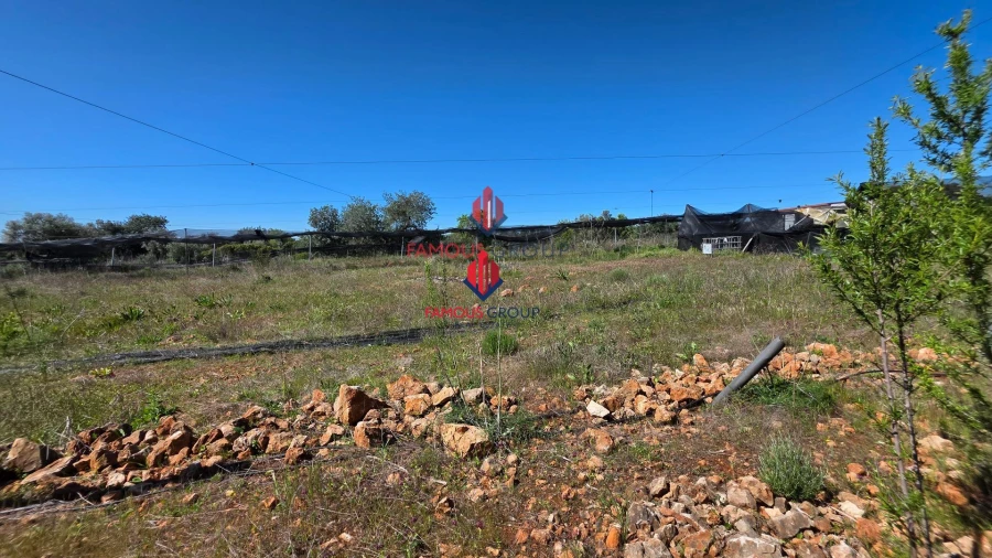 Terreno Agricola ou Rústico para Venda em São Bartolomeu de Messines Foto 33