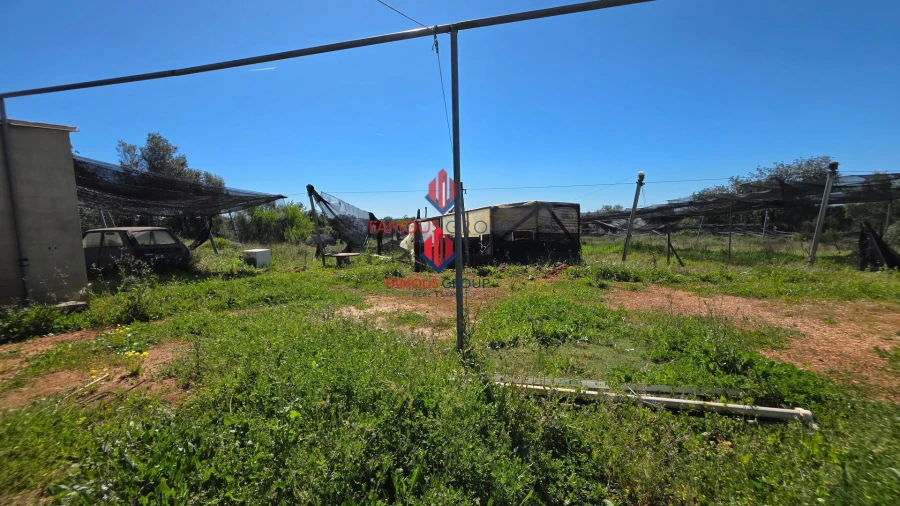 Terreno Agricola ou Rústico para Venda em São Bartolomeu de Messines Foto 37