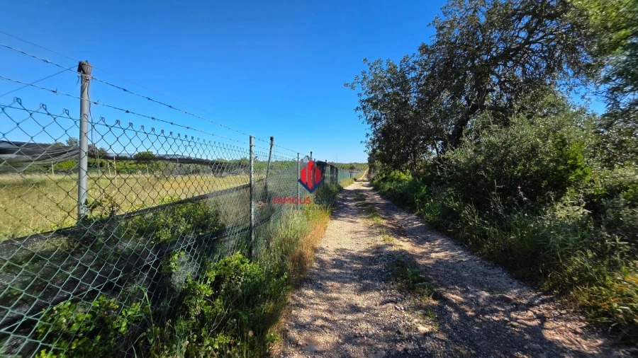Terreno Agricola ou Rústico para Venda em São Bartolomeu de Messines Foto 41