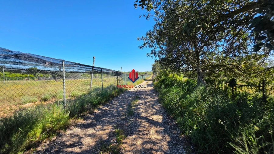Terreno Agricola ou Rústico para Venda em São Bartolomeu de Messines Foto 42