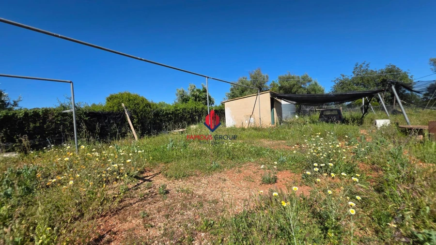 Terreno Agricola ou Rústico para Venda em São Bartolomeu de Messines Foto 46