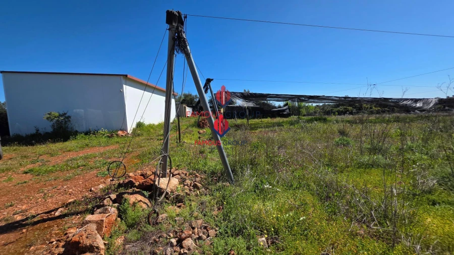 Terreno Agricola ou Rústico para Venda em São Bartolomeu de Messines Foto 6