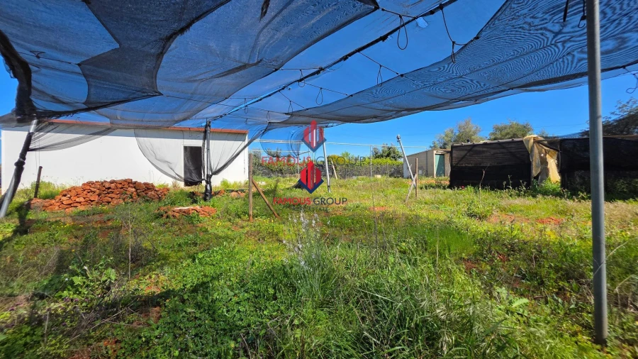 Terreno Agricola ou Rústico para Venda em São Bartolomeu de Messines Foto 9