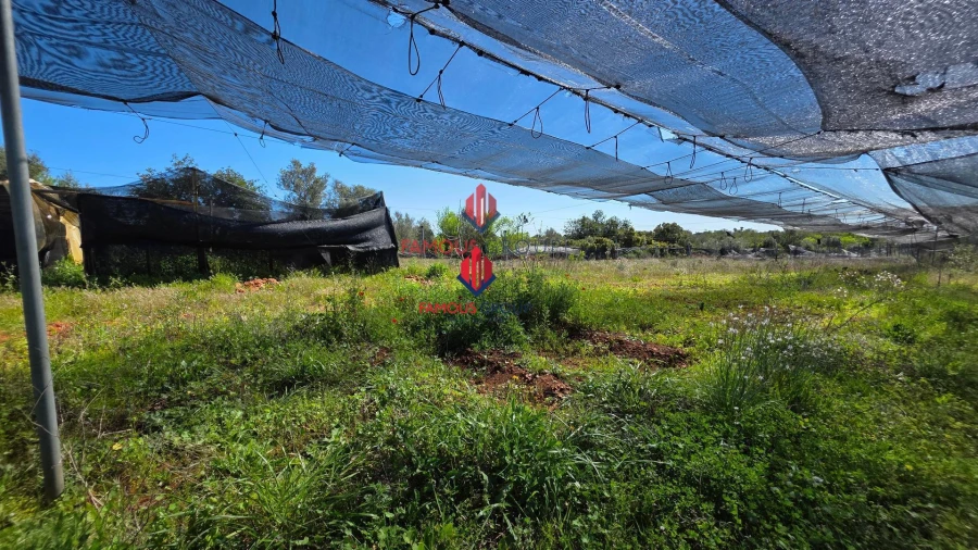 Terreno Agricola ou Rústico para Venda em São Bartolomeu de Messines Foto 24