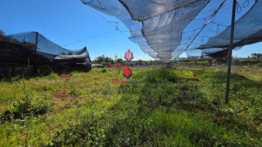 Terreno Agricola ou Rústico para Venda em São Bartolomeu de Messines Foto 25