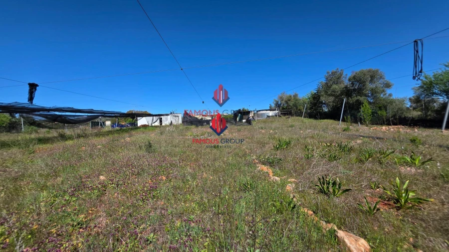 Terreno Agricola ou Rústico para Venda em São Bartolomeu de Messines Foto 31