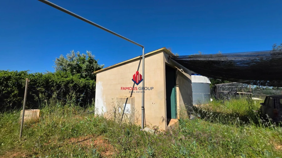 Terreno Agricola ou Rústico para Venda em São Bartolomeu de Messines Foto 6