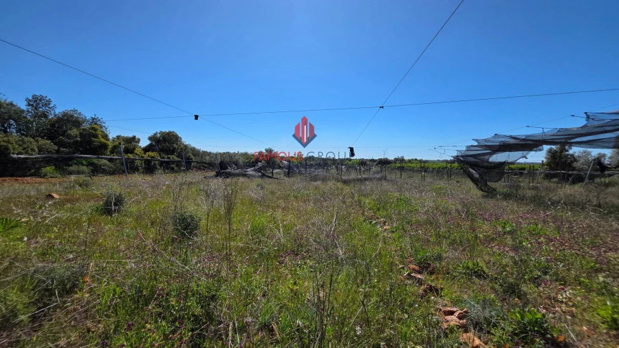 Terreno Agricola ou Rústico para Venda em São Bartolomeu de Messines Foto 29