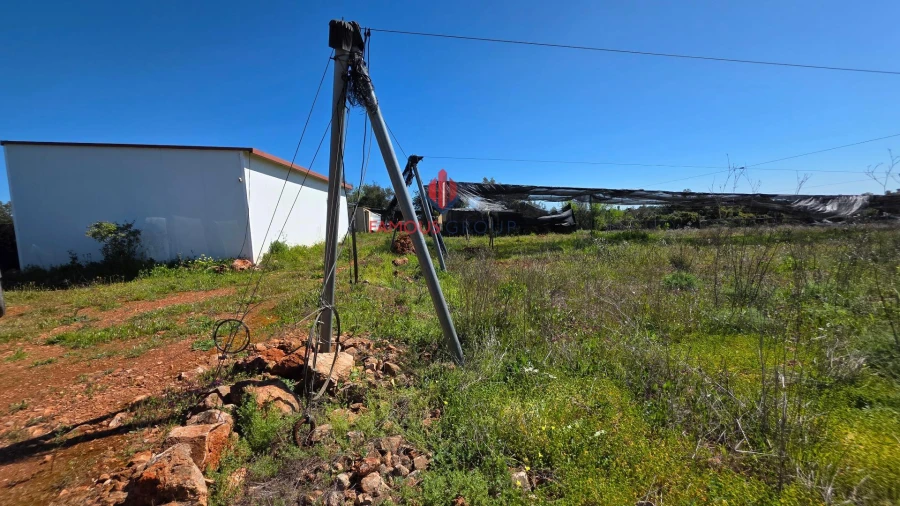 Terreno Agricola ou Rústico para Venda em São Bartolomeu de Messines Foto 3