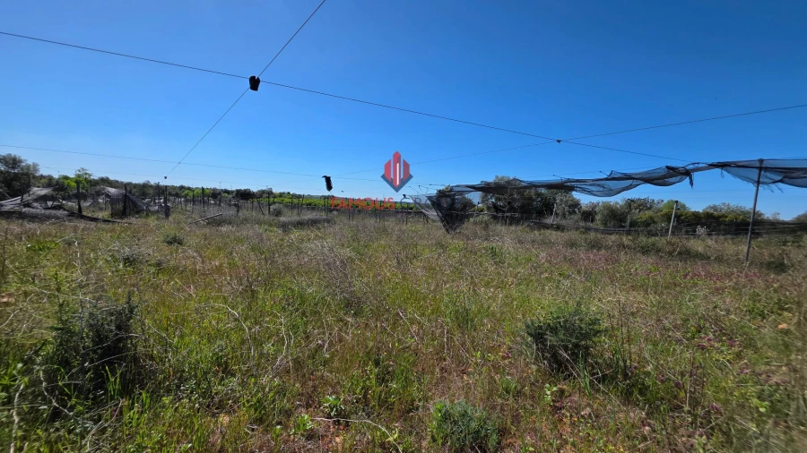 Terreno Agricola ou Rústico para Venda em São Bartolomeu de Messines Foto 30
