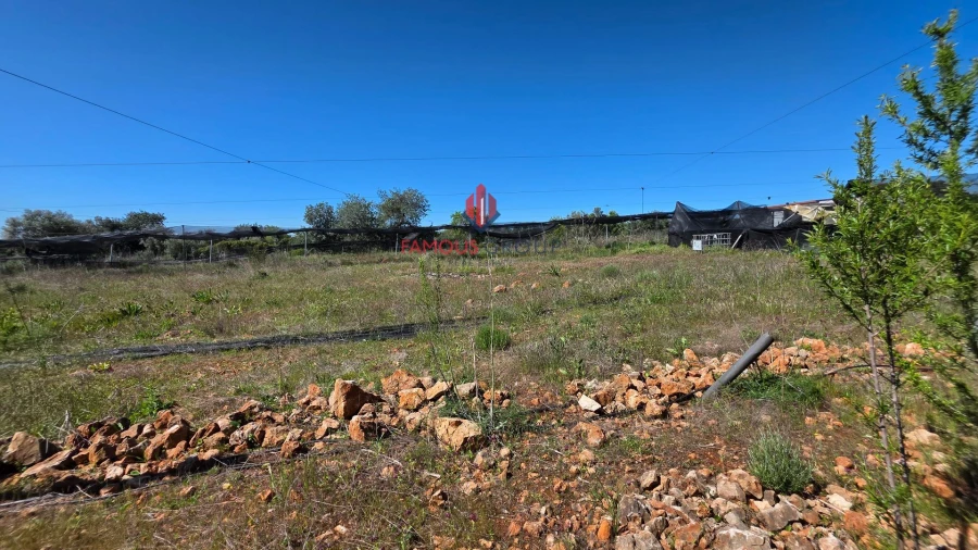 Terreno Agricola ou Rústico para Venda em São Bartolomeu de Messines Foto 34