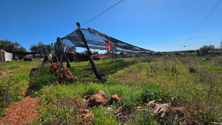 Terreno Agricola ou Rústico para Venda em São Bartolomeu de Messines Foto 42
