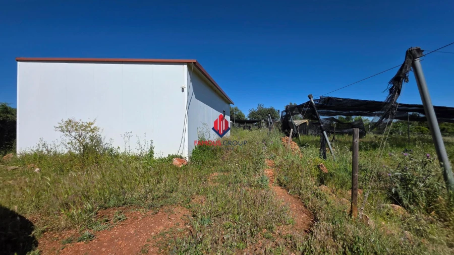 Terreno Agricola ou Rústico para Venda em São Bartolomeu de Messines