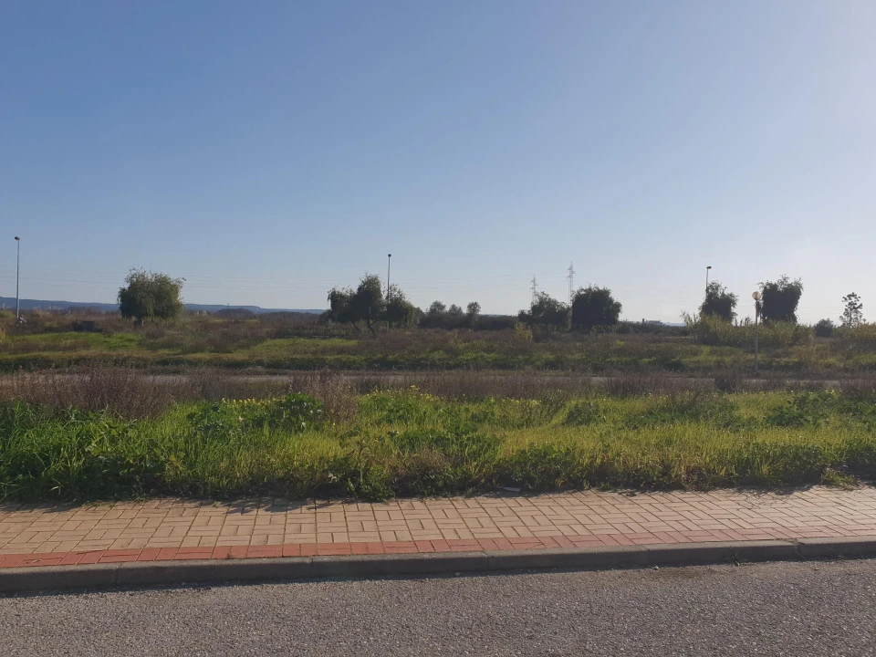 Apartamento para Venda em São João Baptista Foto 12