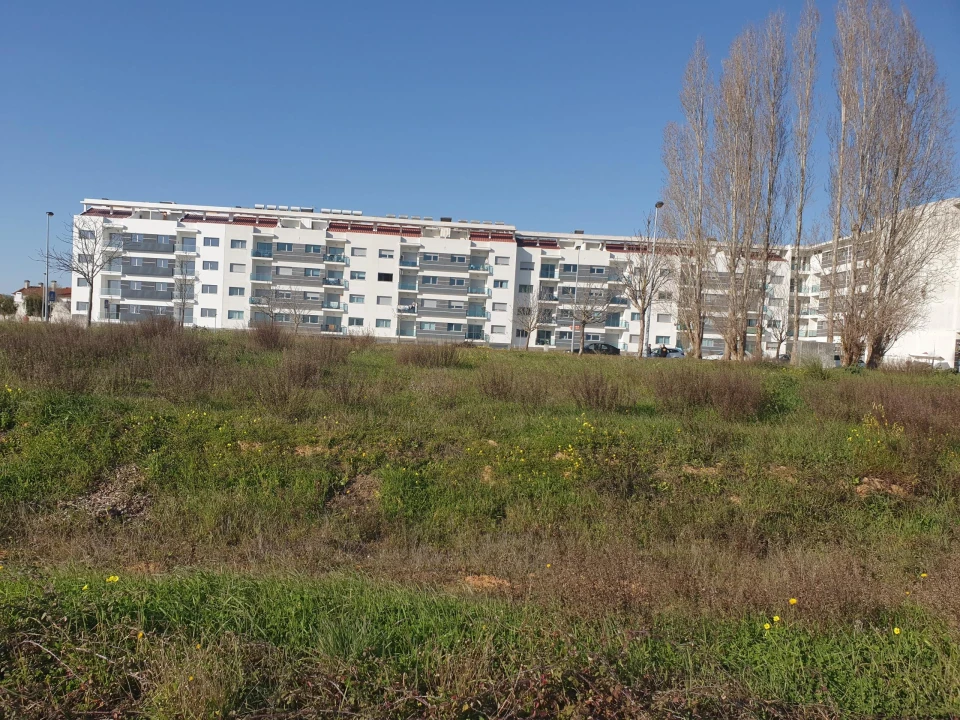 Apartamento para Venda em São João Baptista Foto 9