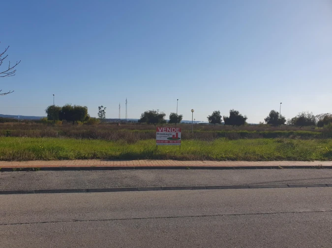 Apartamento para Venda em São João Baptista Foto 8