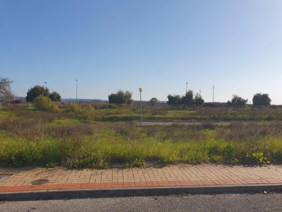 Apartamento para Venda em São João Baptista Foto 9