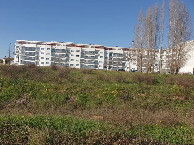 Apartamento para Venda em São João Baptista Foto 12