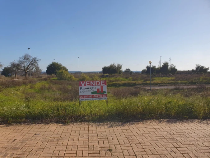 Apartamento para Venda em São João Baptista Foto 7