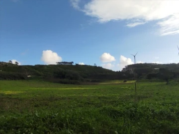 Apartamento para Venda em São Bartolomeu dos Galegos e Moledo