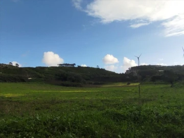 Apartamento para Venda em São Bartolomeu dos Galegos e Moledo