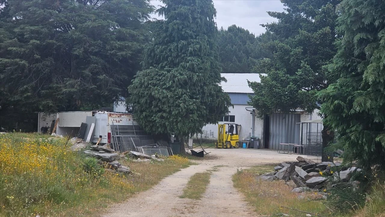 Negócio para Venda em Adoufe e Vilarinho de Samardã Foto 2