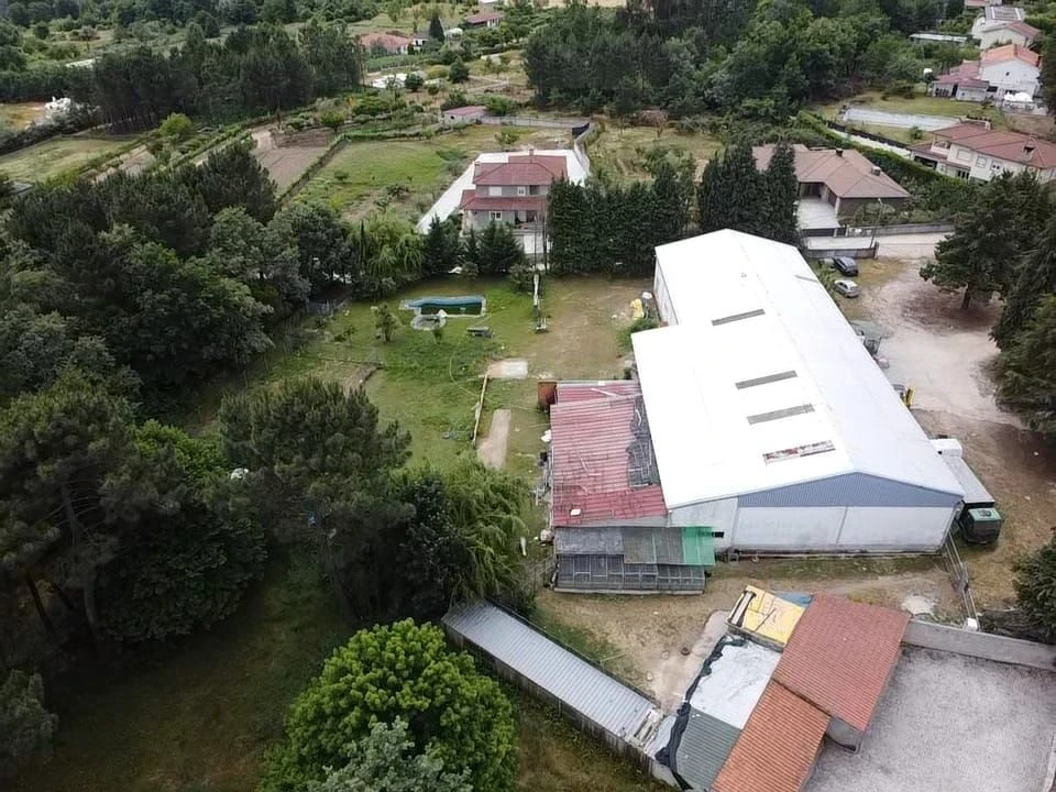 Negócio para Venda em Adoufe e Vilarinho de Samardã Foto 4