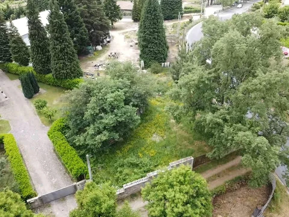 Negócio para Venda em Adoufe e Vilarinho de Samardã Foto 9